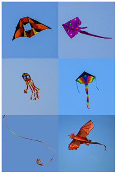 Survive, Thrive & Be Fit at Christopher Farm & Gardens (including the inaugural 